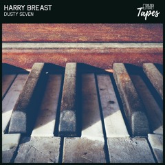 Harry Breast - Housefly (Album: Dusty Seven EP OUT NOW)