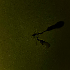 its ok we're not gonna make it