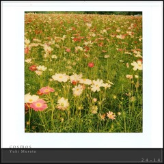 cosmos (Anoice / Yuki Murata '24 Piano Sketches')