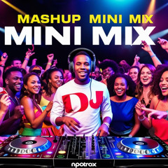 10 minute Mashup Mini Mix 2503