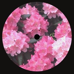 My People (feat. Bahia)