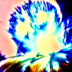 A Mind in a Skin Suit