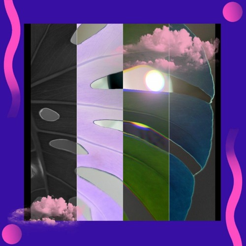 Blink