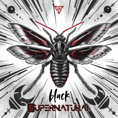 SUPERNATURAL - Black Hole