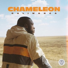Chameleon (feat. Kabza De Small & DJ Maphorisa)
