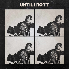 Until I Rott/No Diddy (varu)