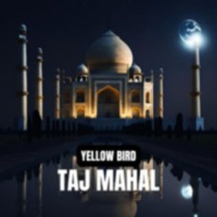 Beat 2305 Slap House (Taj Mahal)