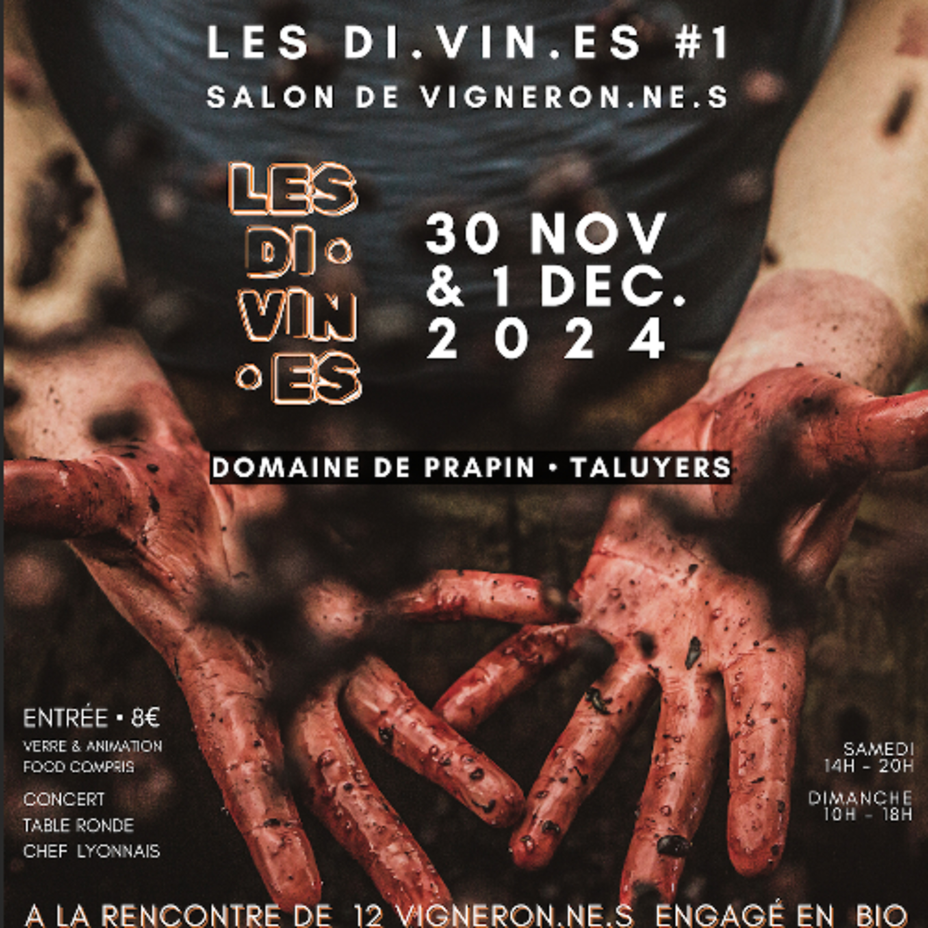 Domaine du Fief Noir - Alexis - Loire - « le parcellaire »