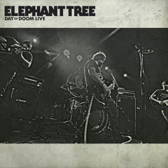 Aphotic Blues (Live)