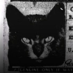 UZINE Parts REMASTERED