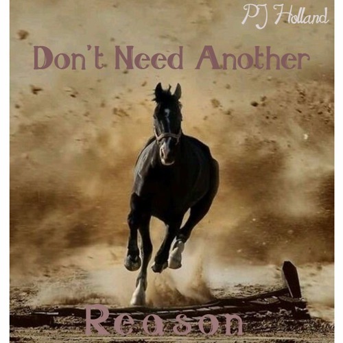 Dont Need Another Reason