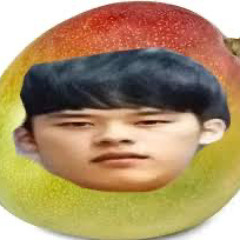 mingo mango