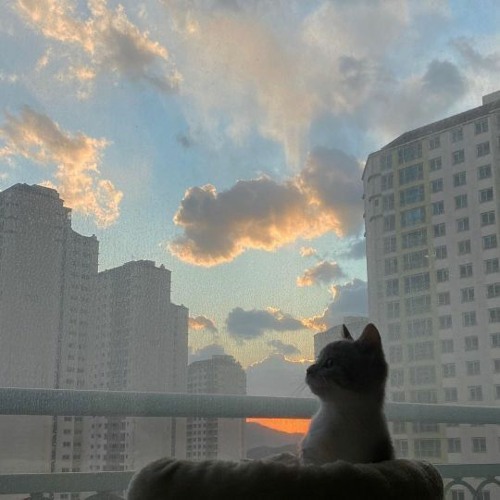 Change Of Events w/crnyam1, Woojinee, and ZG