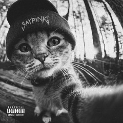 Заебавший мотив