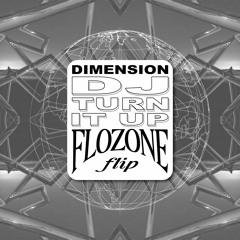 dimension - dj turn it up (flozone flip)