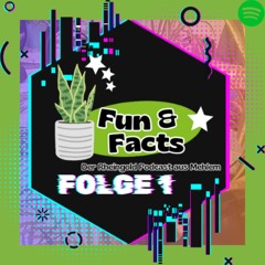 Rheingold Podcast - Fun & Facts - Episode1