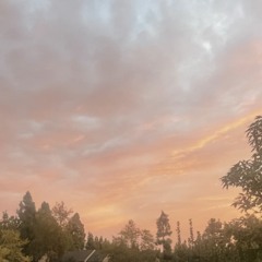 Rolling Loud 💨 (ft. Supra) (Prod. Supra)