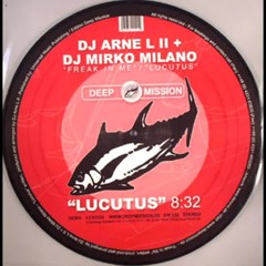 DJ Arne L II + DJ Mirko Milano - Lucutus [HQ]