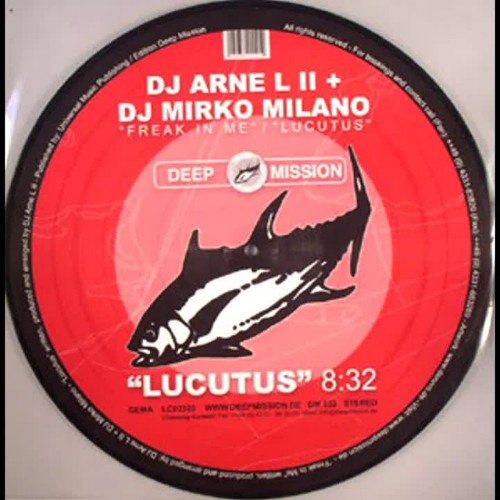 DJ Arne L II + DJ Mirko Milano - Lucutus [HQ]