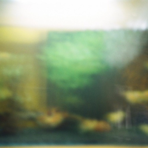 My Image 88