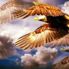 نرفع أجنحة كالنسور طائرون كالسحاب - ترنيمة جديدة من احتفال تسبيح (سبت راحة) خدمة السماء على الأرض - مصر