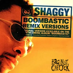 BOOMBASTIC (Big Nut Chuck Remix) - Shaggy [FREE DL]