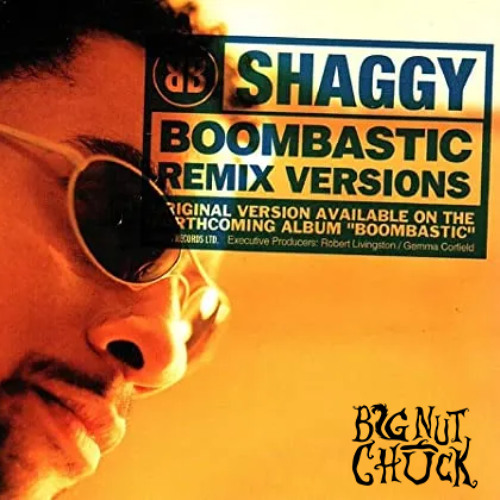 BOOMBASTIC (Big Nut Chuck Remix) - Shaggy [FREE DL]