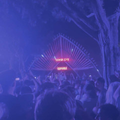Groovy Nights & Flashy Lights