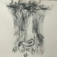 'Sleep' the terra non-firma between dreaming and waking