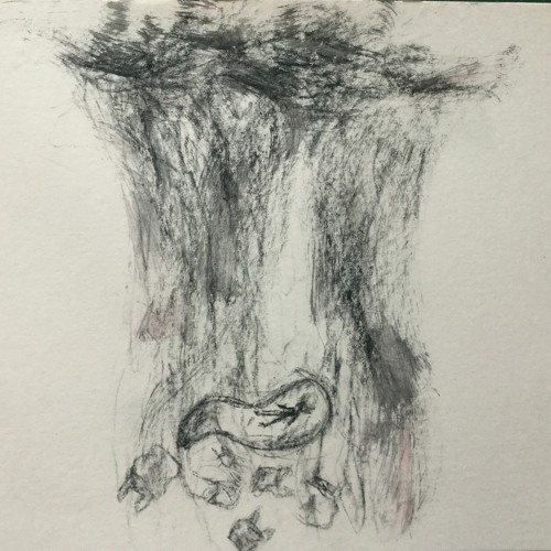 'Sleep' the terra non-firma between dreaming and waking