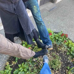 Twilight -Elliott Smith (rec vers2/3)