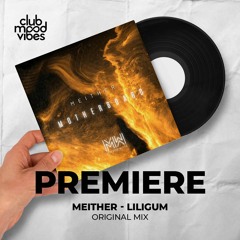 PREMIERE: Meither ─ Liligum (Original Mix) [Mirror Walk]