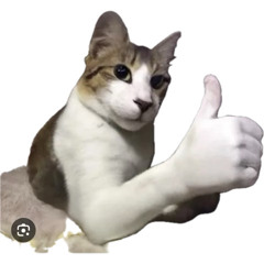 Drowning in Phemaldehyde - Blistering (FULL DEMO  2008)