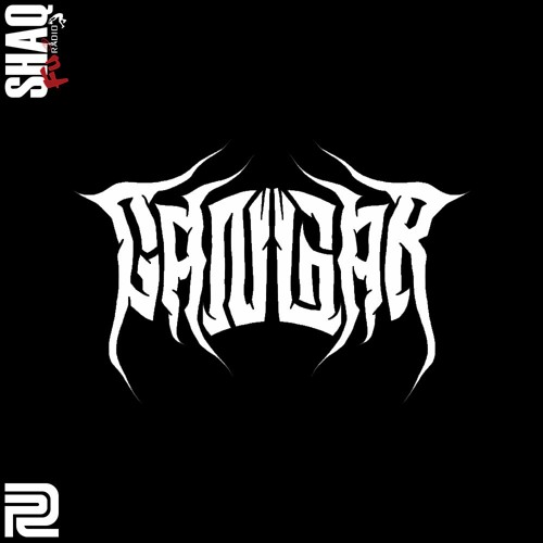 Shaq Fu Radio: Gangar