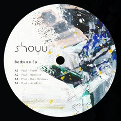 Premiere: A2. Pauli - Bodyrise [SHOYU003]