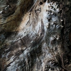 szczupakola // ŚLINA 06/09/2024