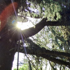 porque nunca te puedo alcanzar?