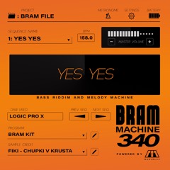 BRAM FILE | SEQ 1: YES YES