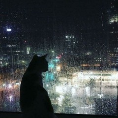 rainy in ohio