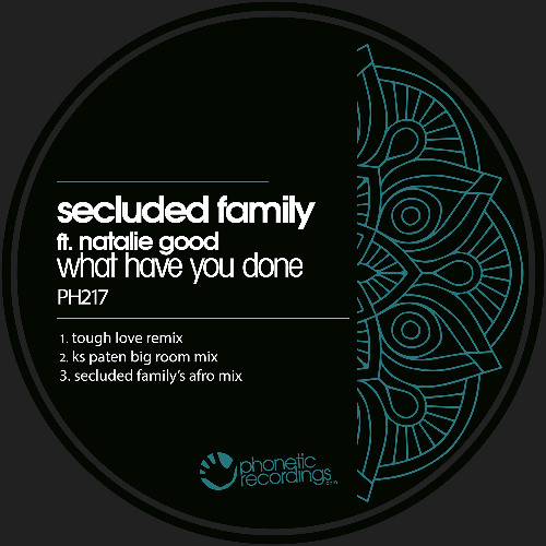 What Have You Done (Secluded Family's Afro Mix)