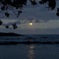 Moon River Outro - Frank Ocean