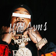 Dave East x Benny The Butcher x Lloyd Banks Type Beat 2022 "Wild Arms" [NEW]
