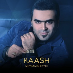 Meysam Sheykhi - Kaash