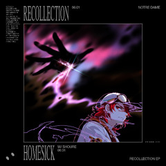 Notre Dame - Recollection