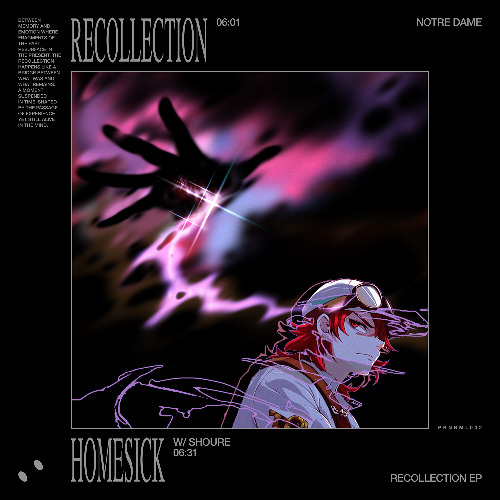 Notre Dame - Recollection