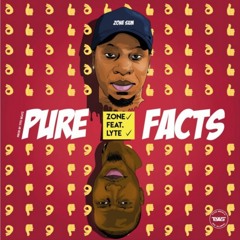 Zone X Lyte (Pure Facts) Drum Cover By Captain