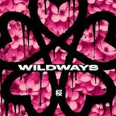 Wildways – Белым Мелом