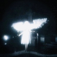 Glass Wings (Slowed)