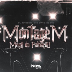 MONTAGEM - MEGA DO PALHAÇO - MC GW e MC MN ( DJ NpcSize )