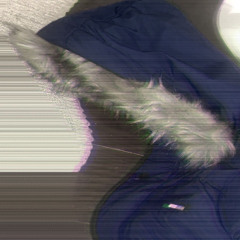 Tommy Jacket \SBC/ (feat. Wapmenthol and Zasder) (prod. beamer)